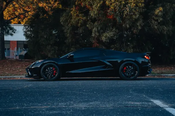 קזינו סטיקי ויילדס אפליקציית Android/iOS